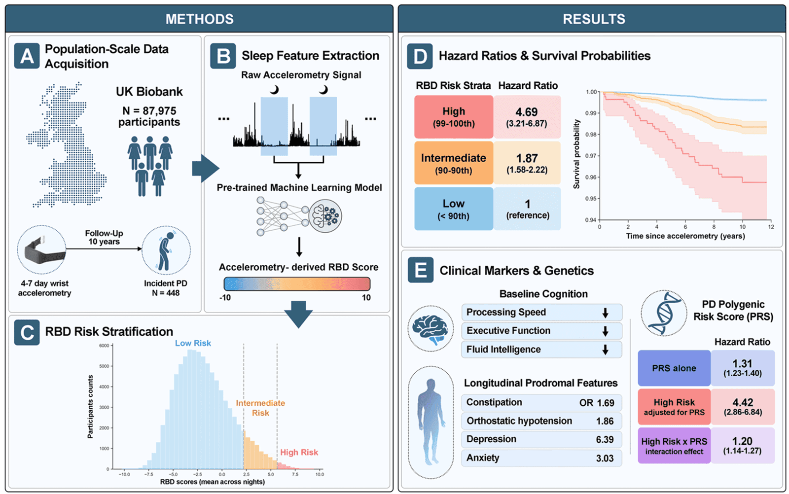 UK Biobank study figure: population-scale accelerometry and ML-derived RBD score (methods) alongside hazard ratios by RBD-risk stratum, survival curves, and PD polygenic-risk results.